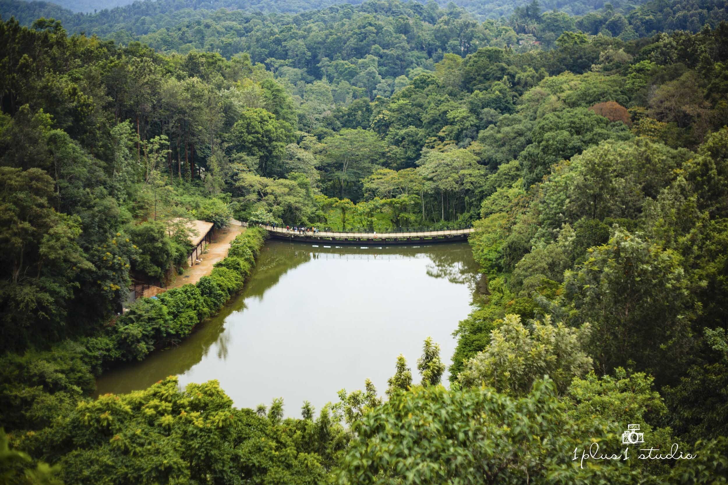 Tambrahm+Wedding+Ibnii+Coorg+Resort+Shruthi+Mukund1.jpeg