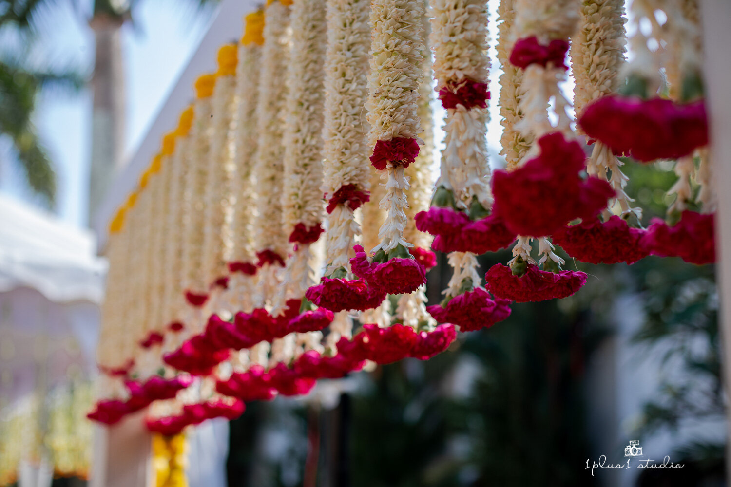 Taj Malabar Cochin Destination Wedding9.jpg