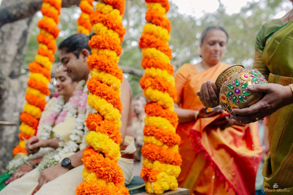 Tamarind tree wedding56.jpg