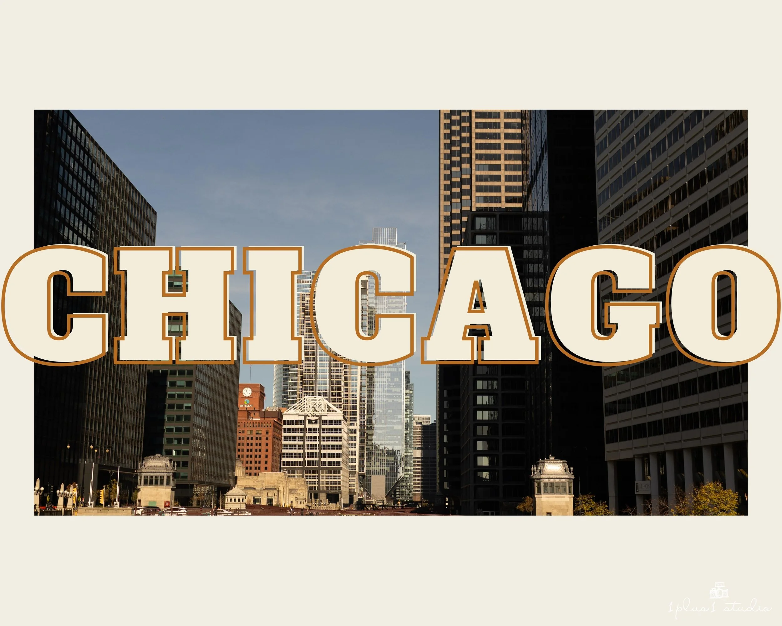 Chicago indian telugu wedding-1.JPG