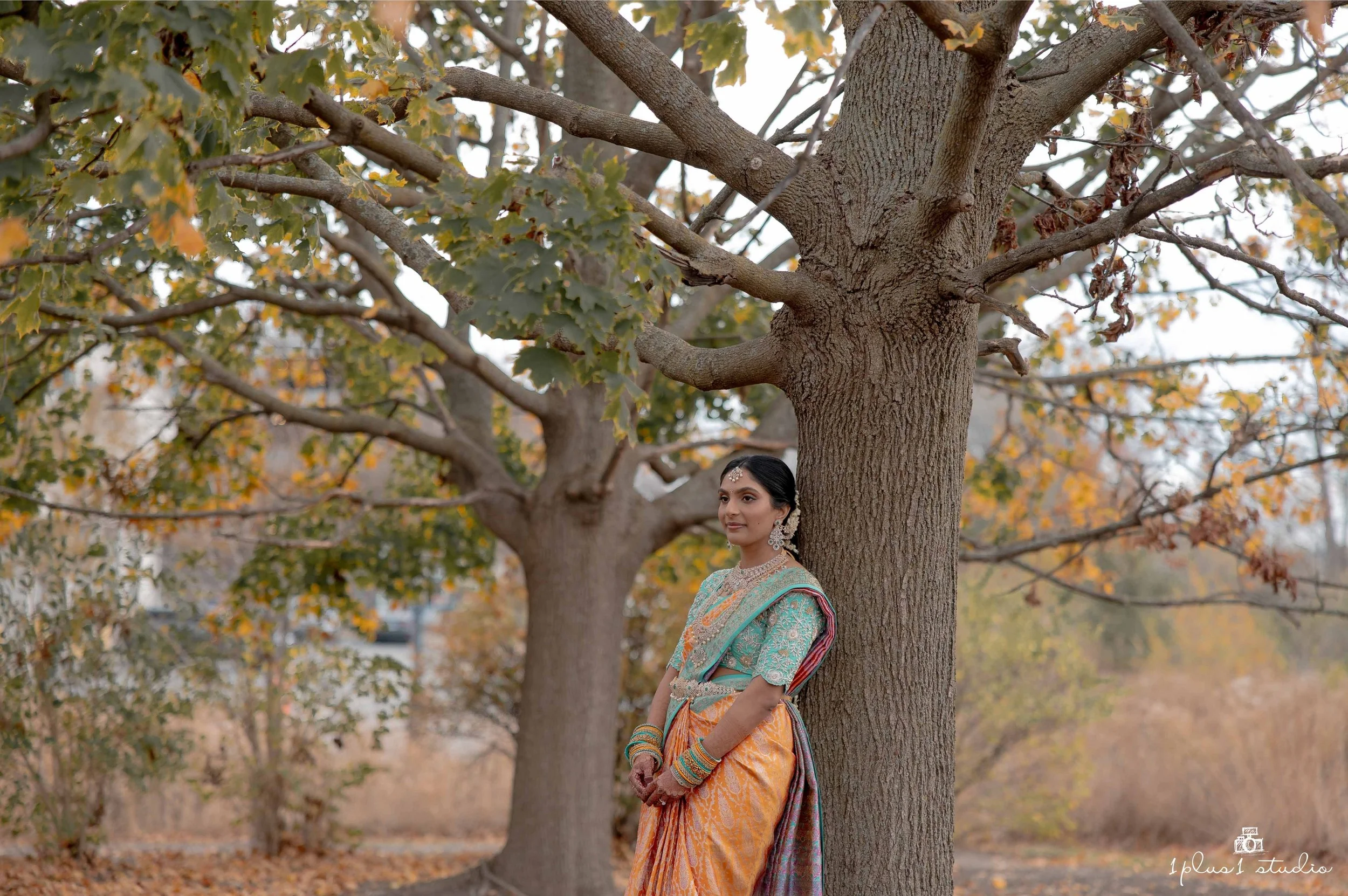 Chicago indian telugu wedding-16.JPG