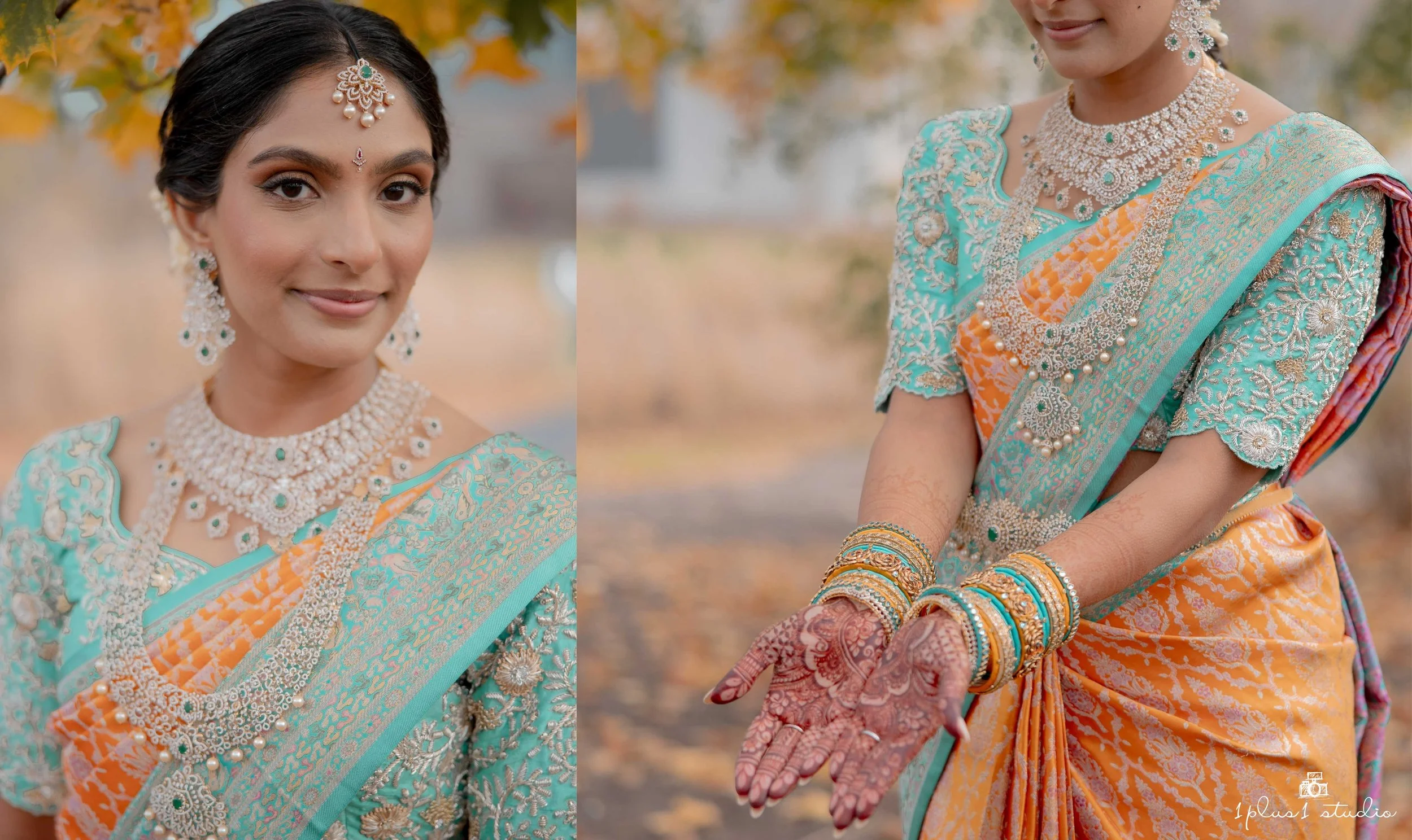 Chicago indian telugu wedding-17.JPG