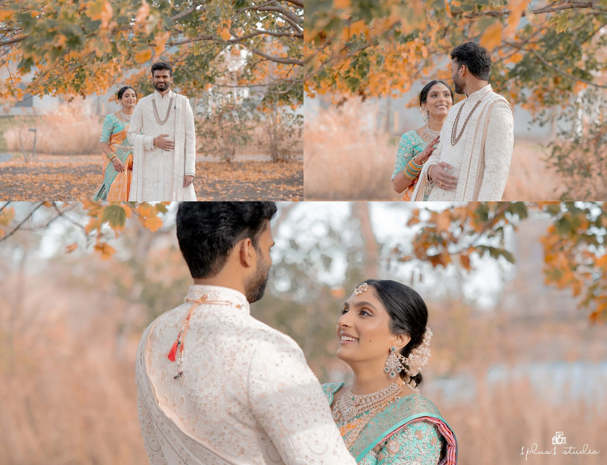 Chicago indian telugu wedding-19.JPG