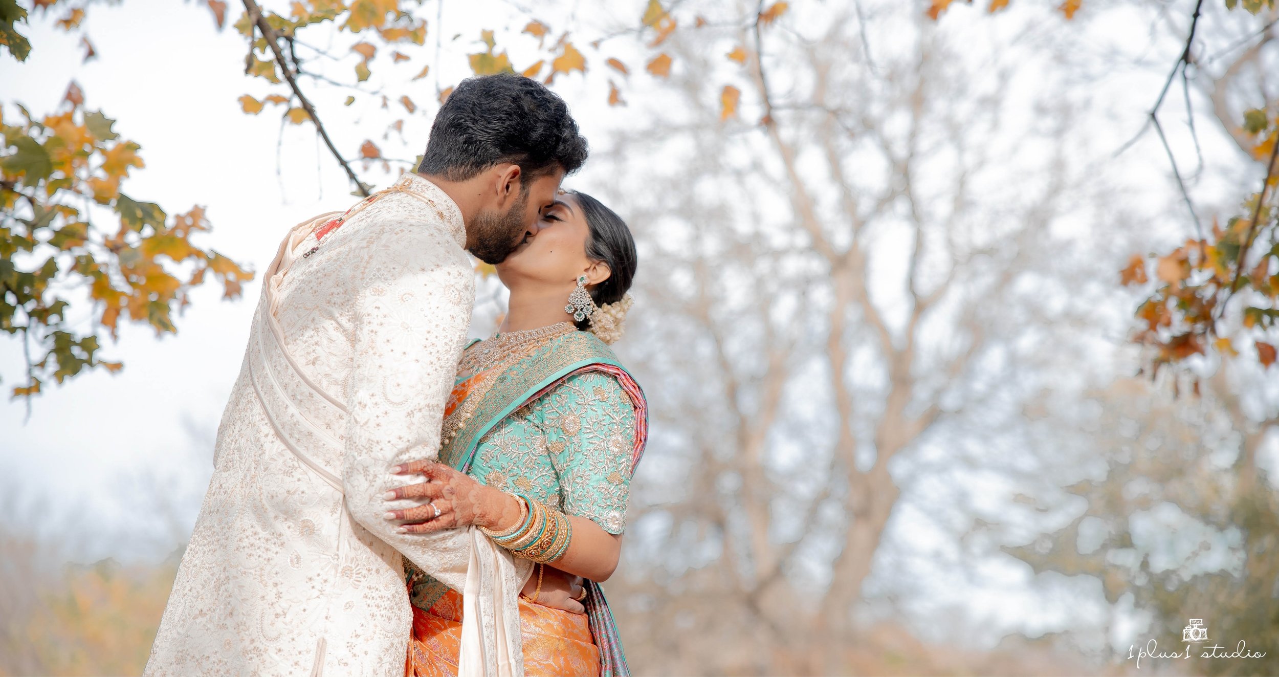 Chicago indian telugu wedding-20.JPG