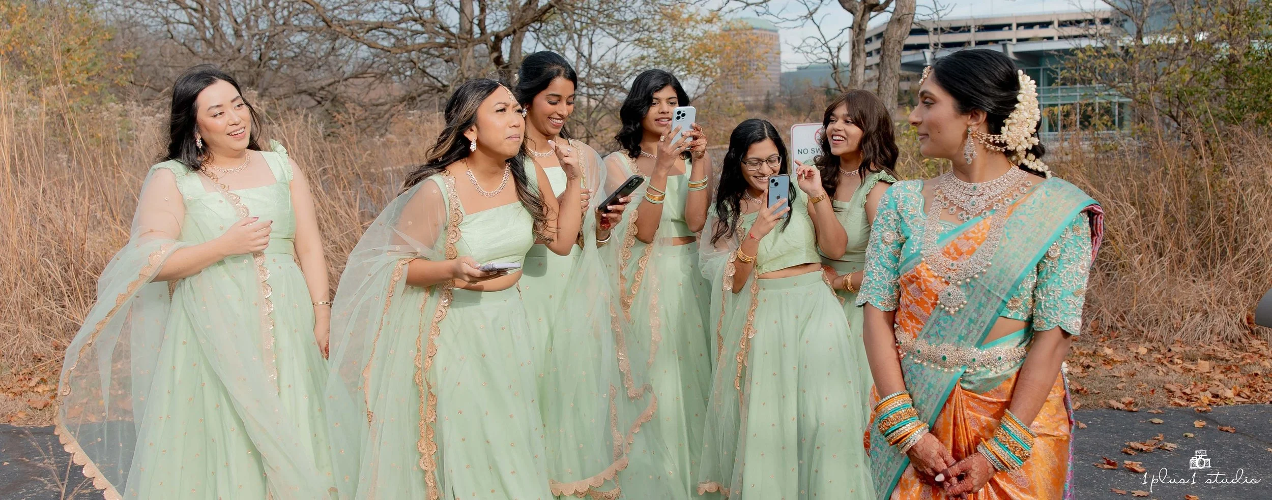 Chicago indian telugu wedding-23.JPG