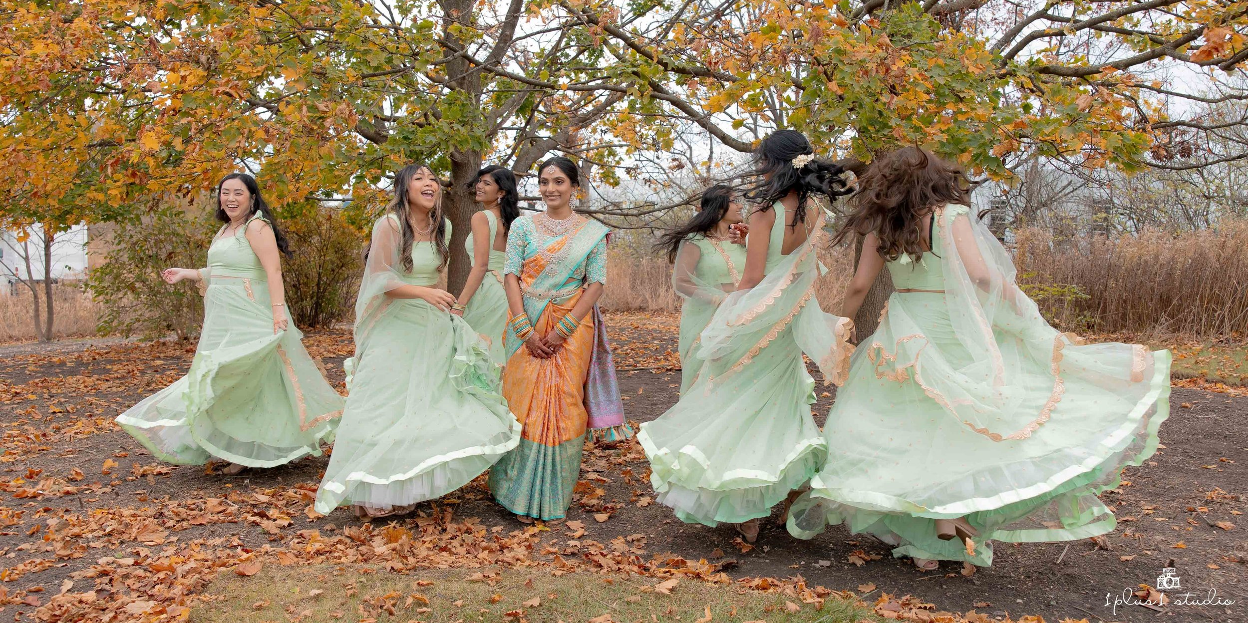 Chicago indian telugu wedding-24.JPG