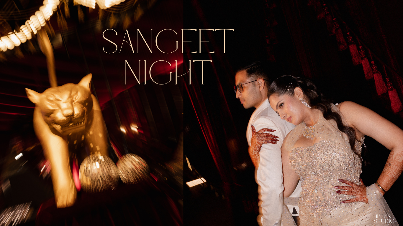 Best Wedding Photographer India 2.png