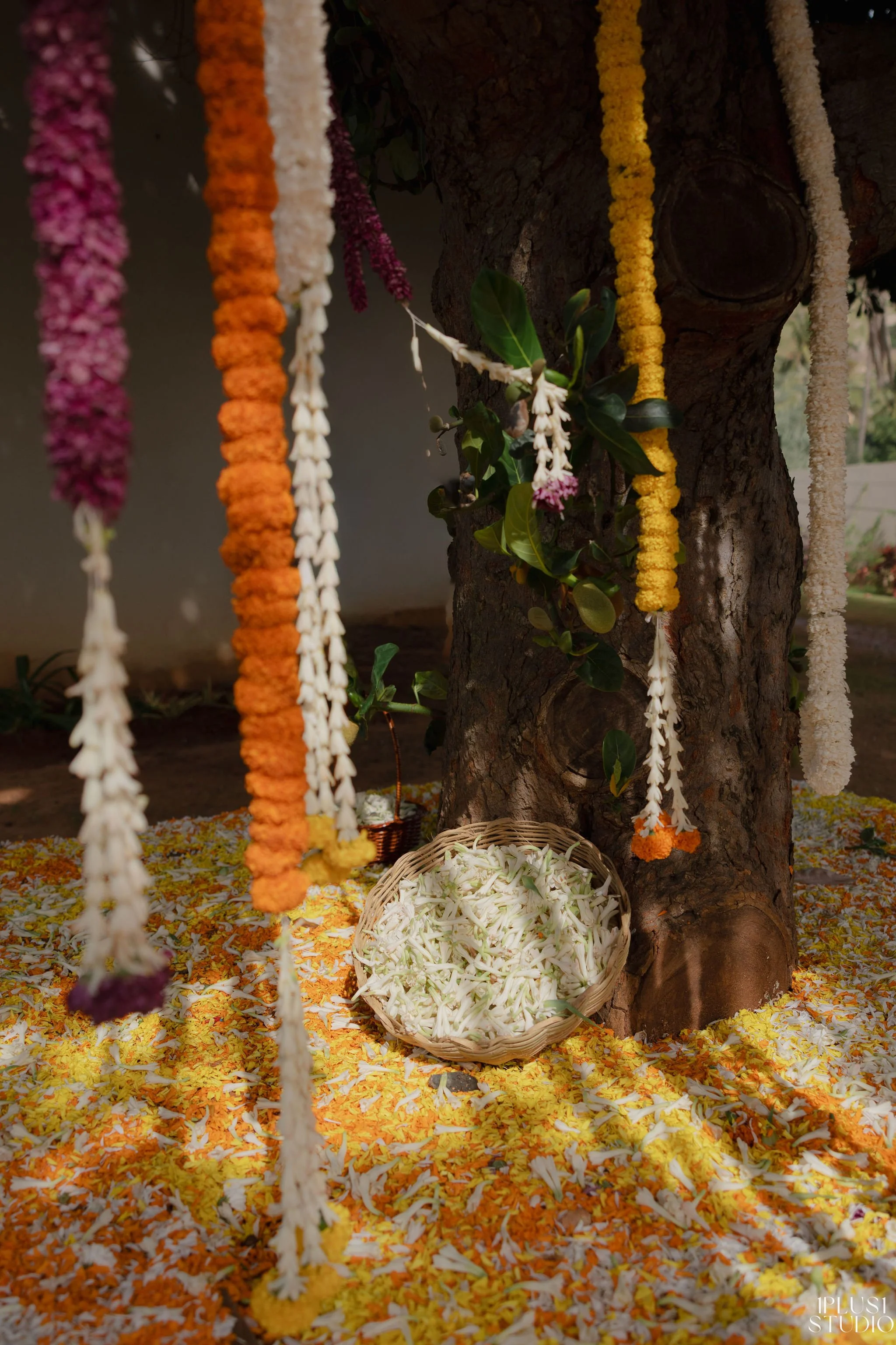 SV-Haldi-19.jpg