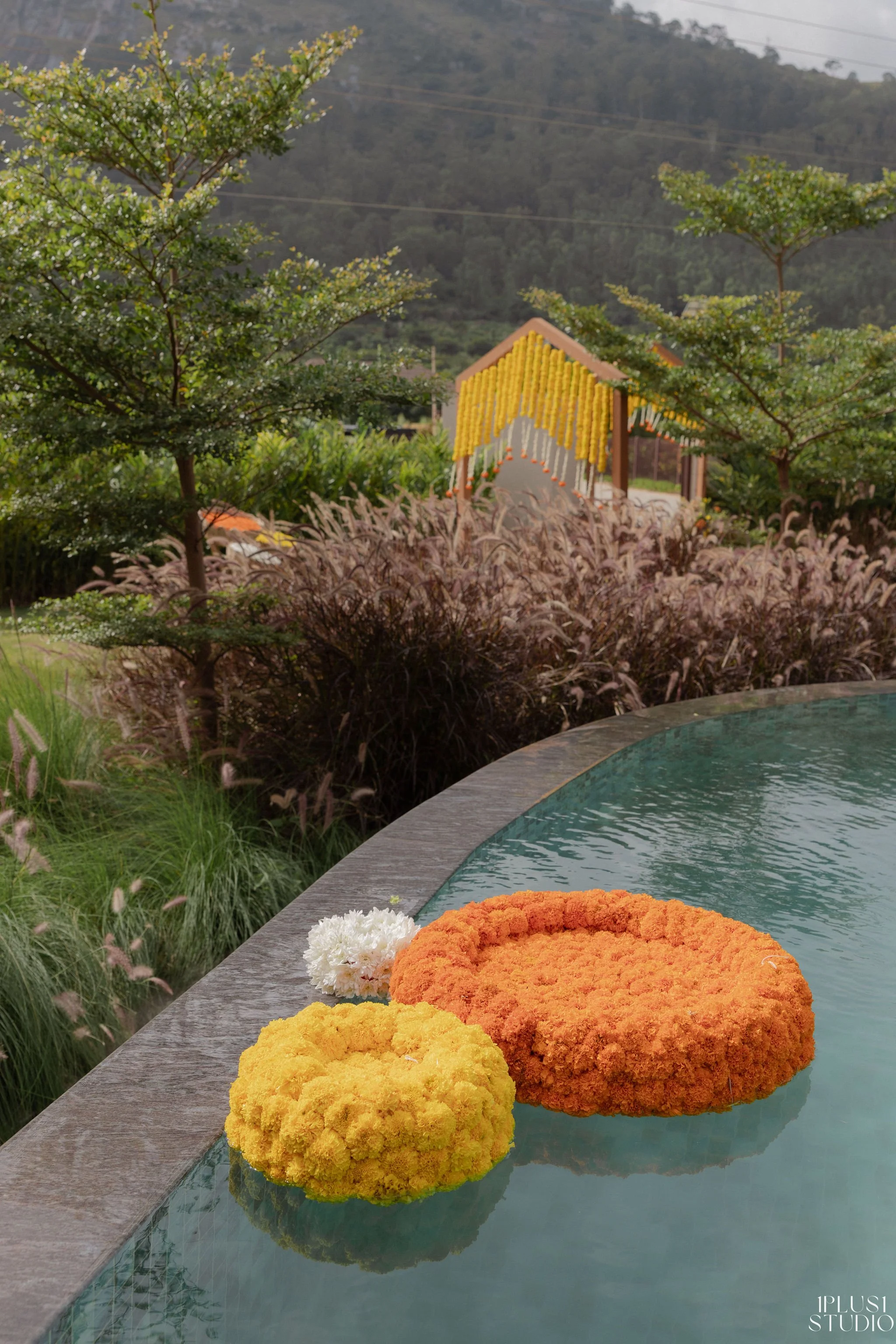 SV-Haldi-31.jpg