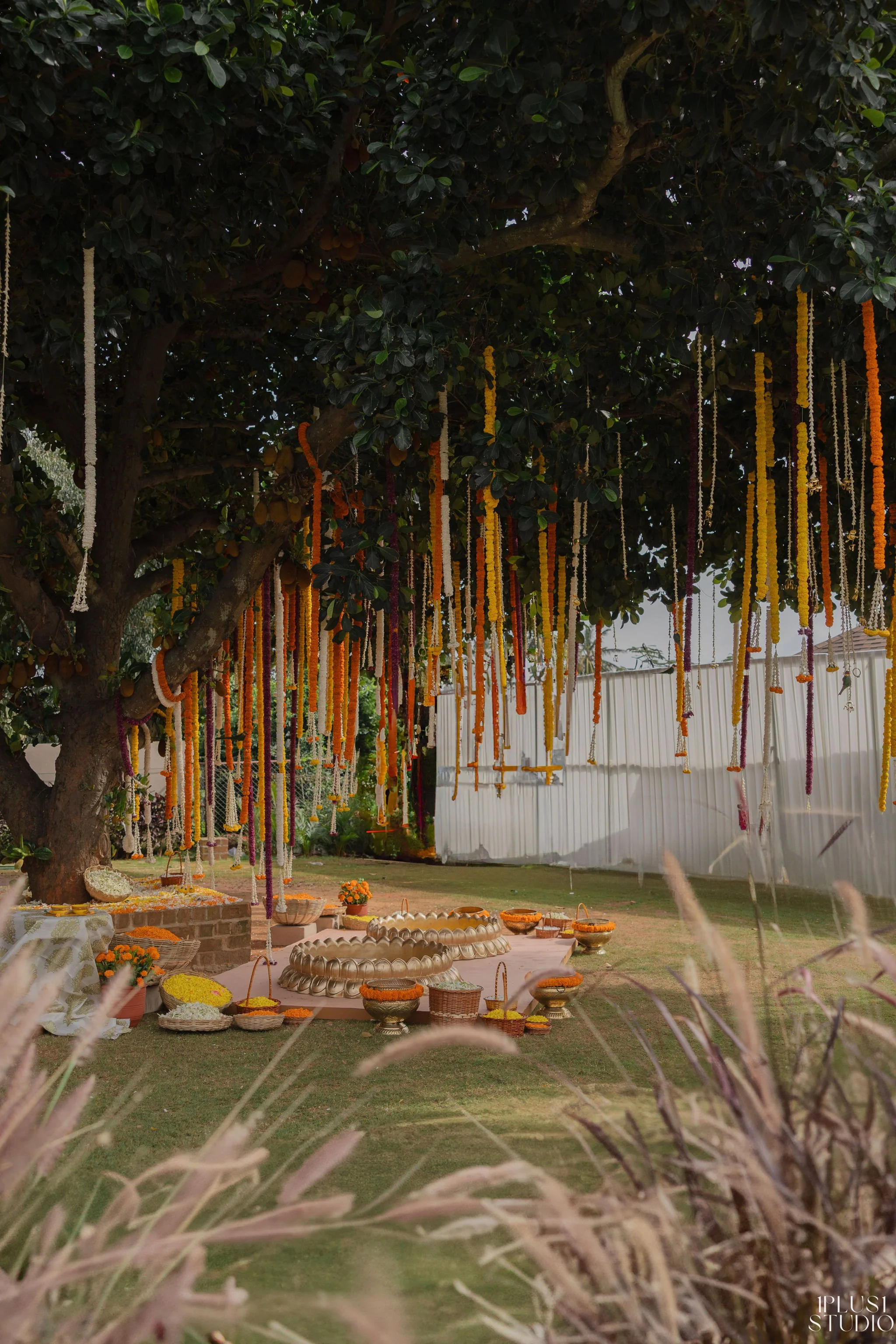 SV-Haldi-9.jpg