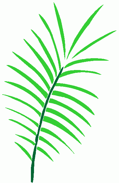 Palm Sunday