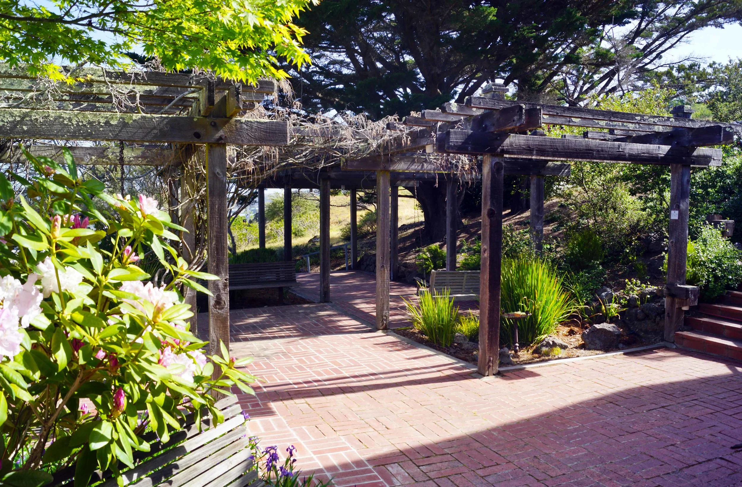 Sabbath Rest – Emotional Wellness