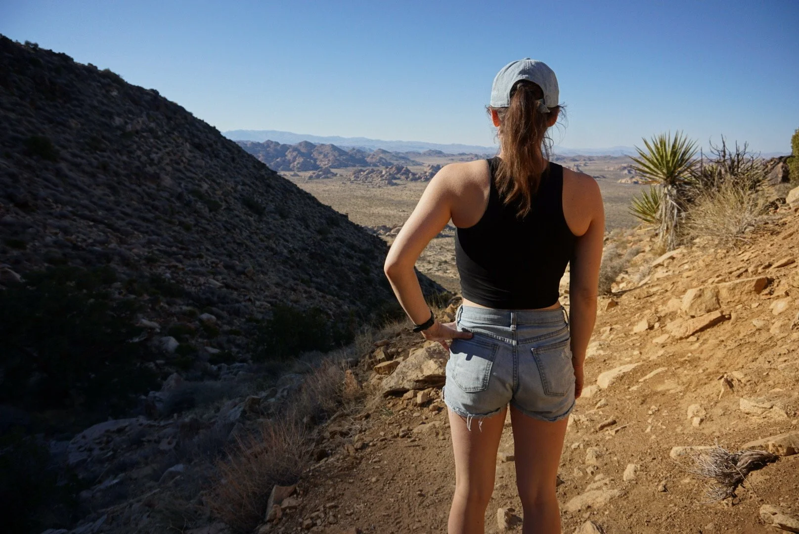 Annual Review 2022 Hiring, Rock Climbing, And Home Office Renovation