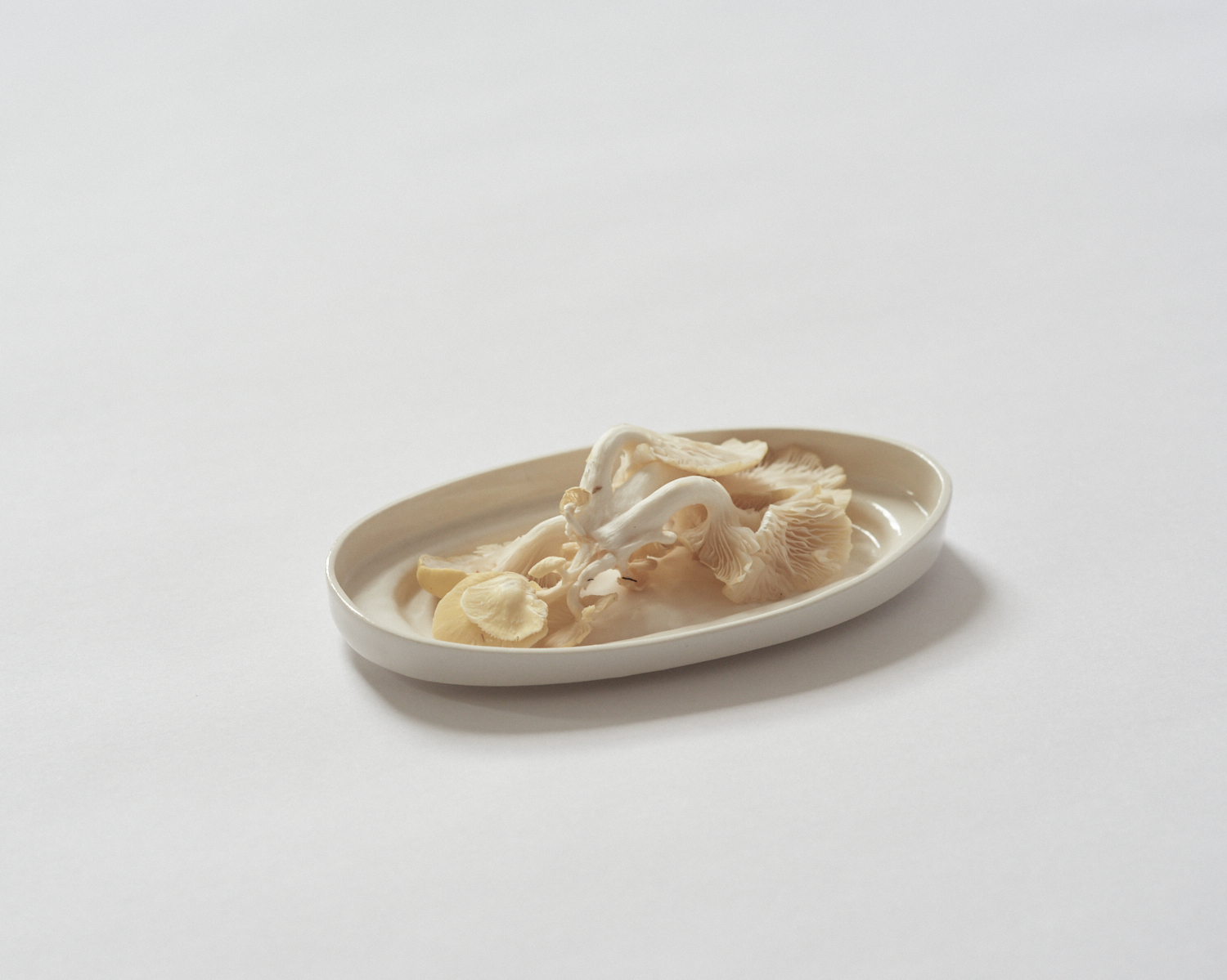 ARC_egg_plate_in_use_5.jpg
