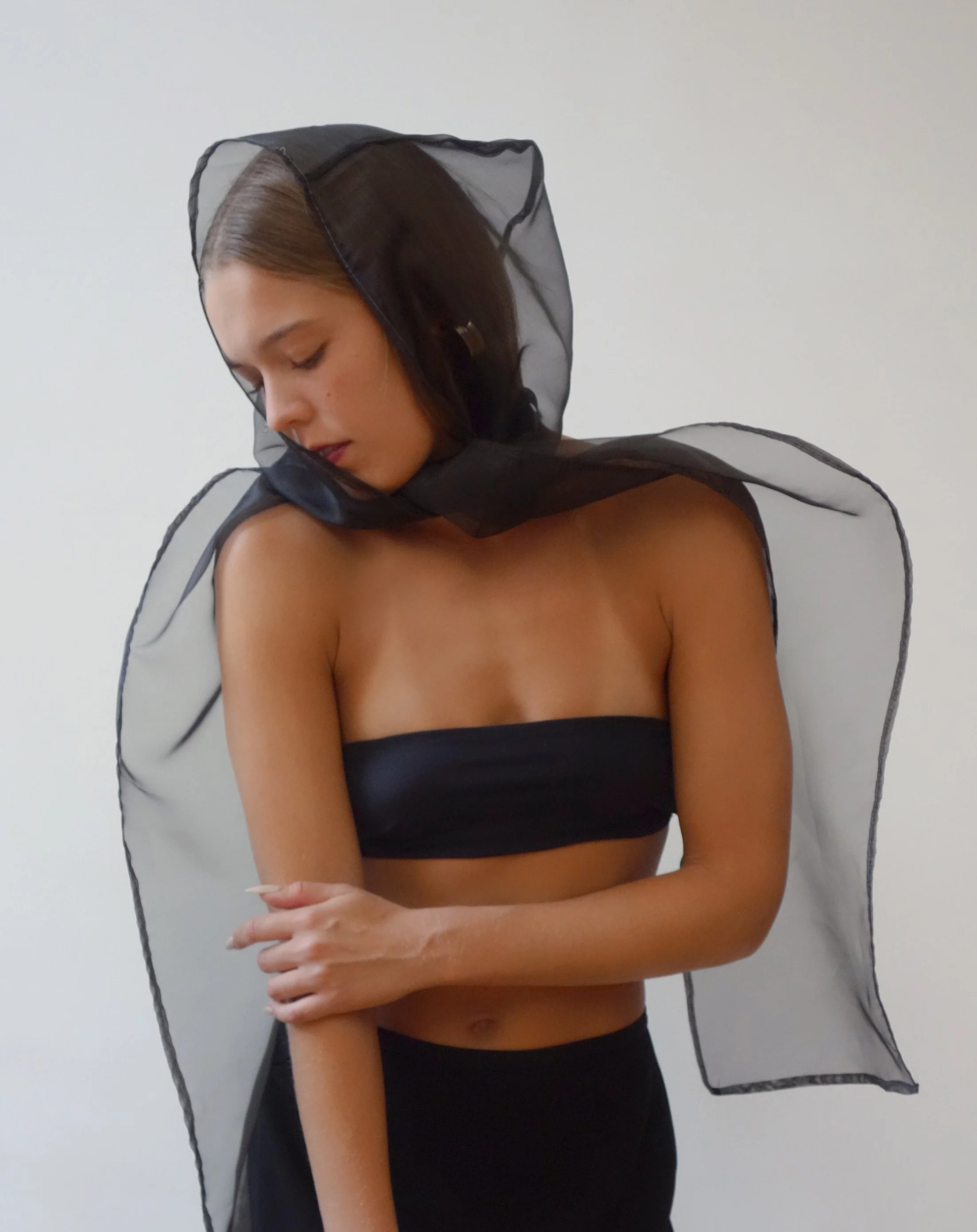 invisible encore scarf/hood