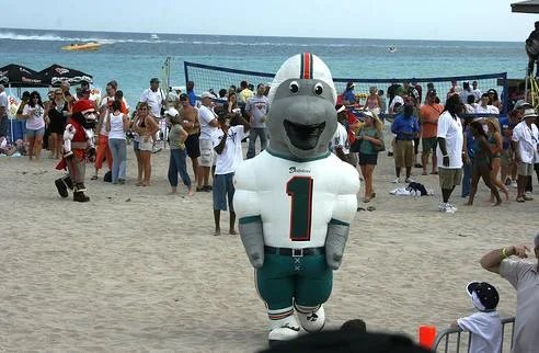 TD Mascot.JPG
