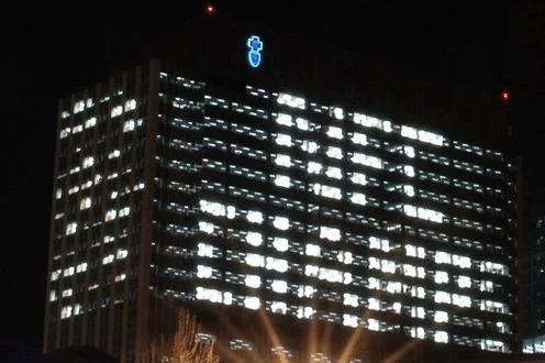 Bears - NFC Champs 2007.JPG