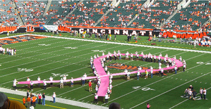 Bengals - Breast Cancer - Pre-Game.jpg