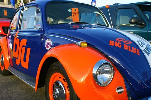 Boise State Bug.jpg
