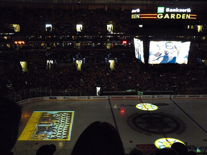 Boston Bruins - Ice Display.jpg