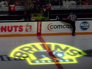 Boston Bruins - Ice Display2.jpg