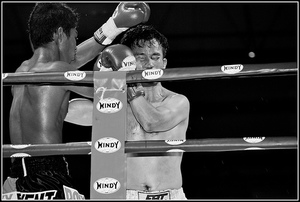 Branded Boxing Ropes2.jpg