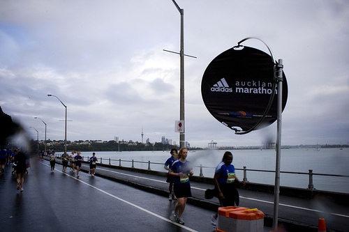 adidas auckland marathon signage.jpg