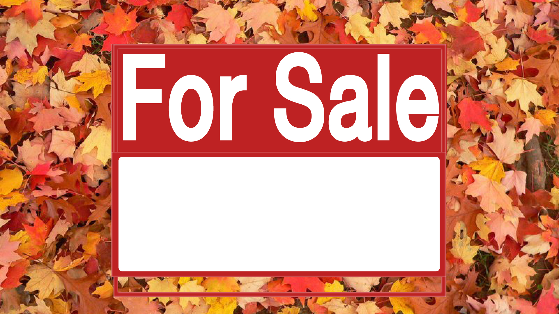 Fall Foliage For Sale Online