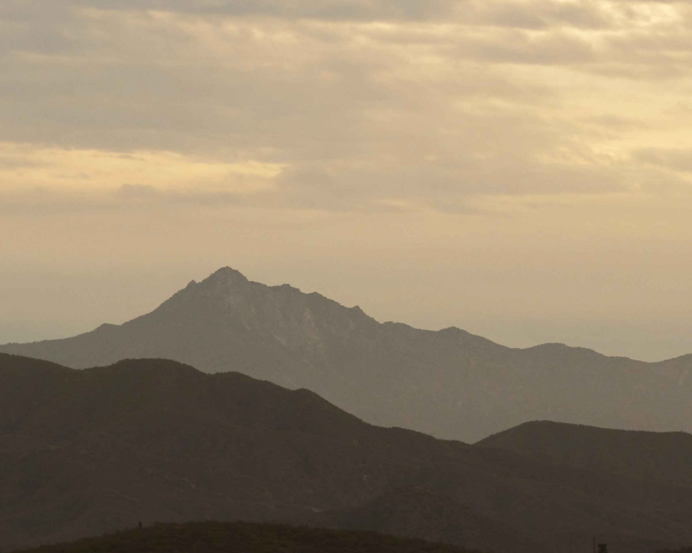 FA24_NATURE_MEXICO_JARA_00006.jpg