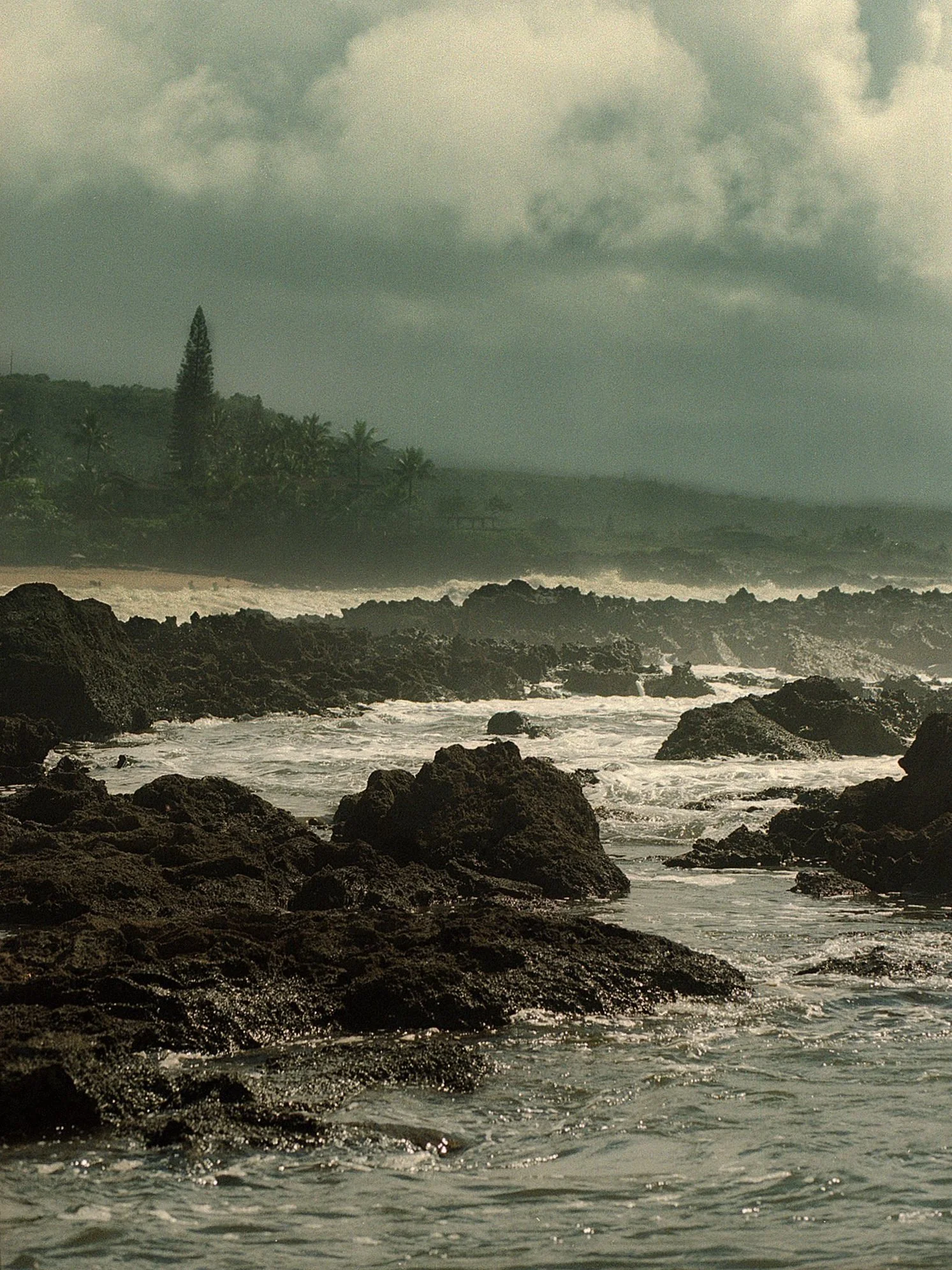 JARA_Oahu2021_0049.jpg