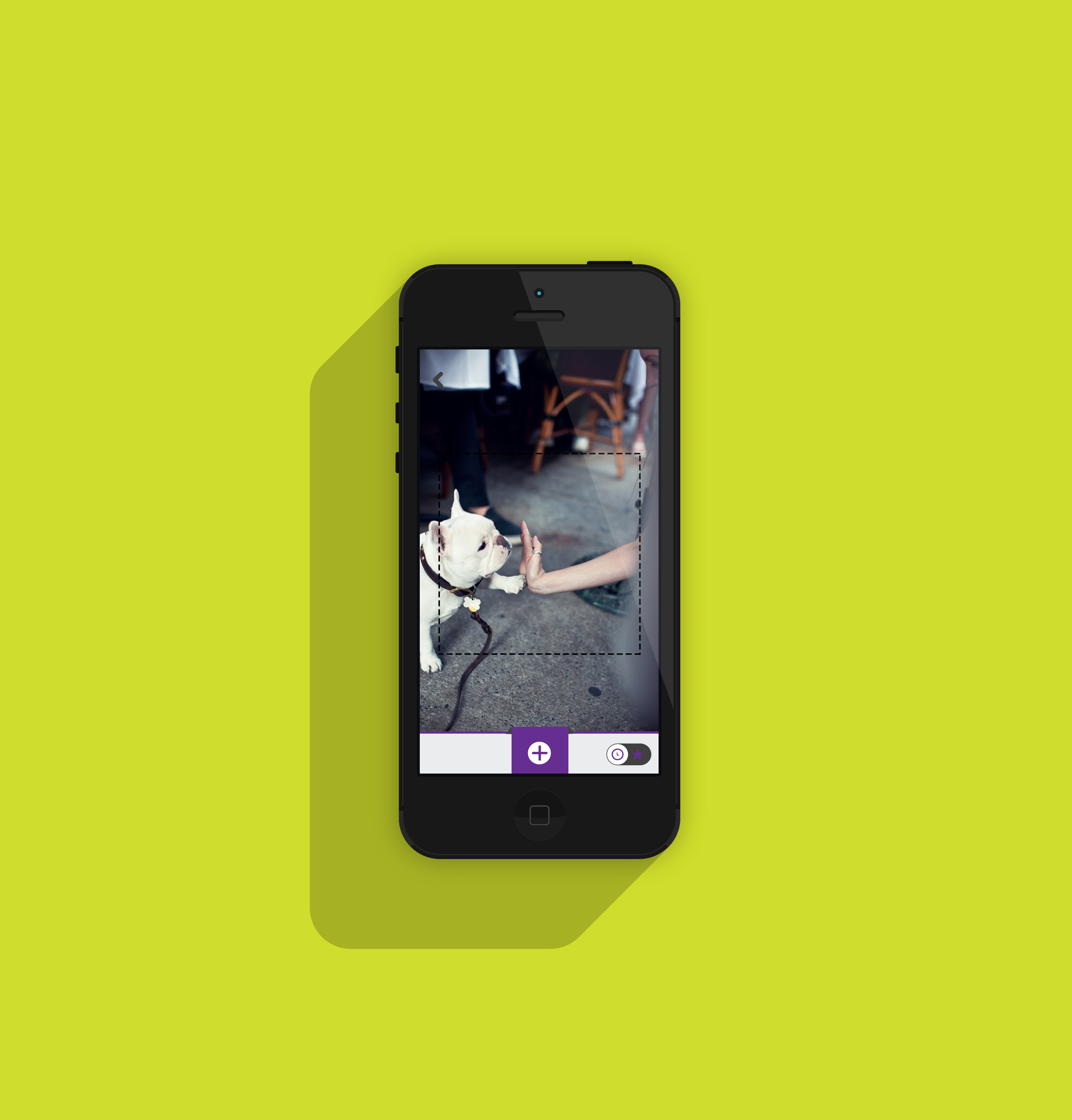 app5.jpg