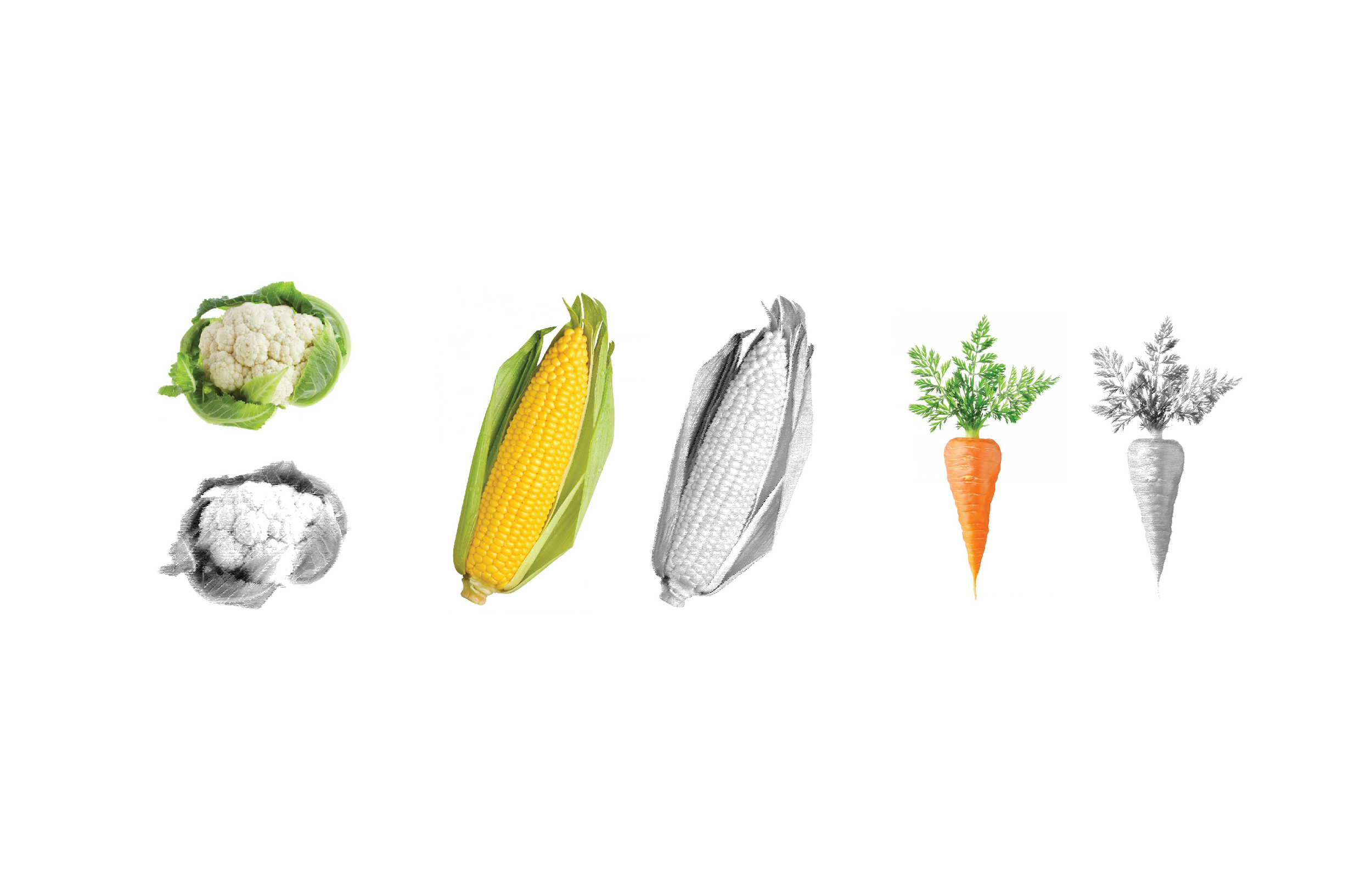 forage-workingboard-process_Page_5.png