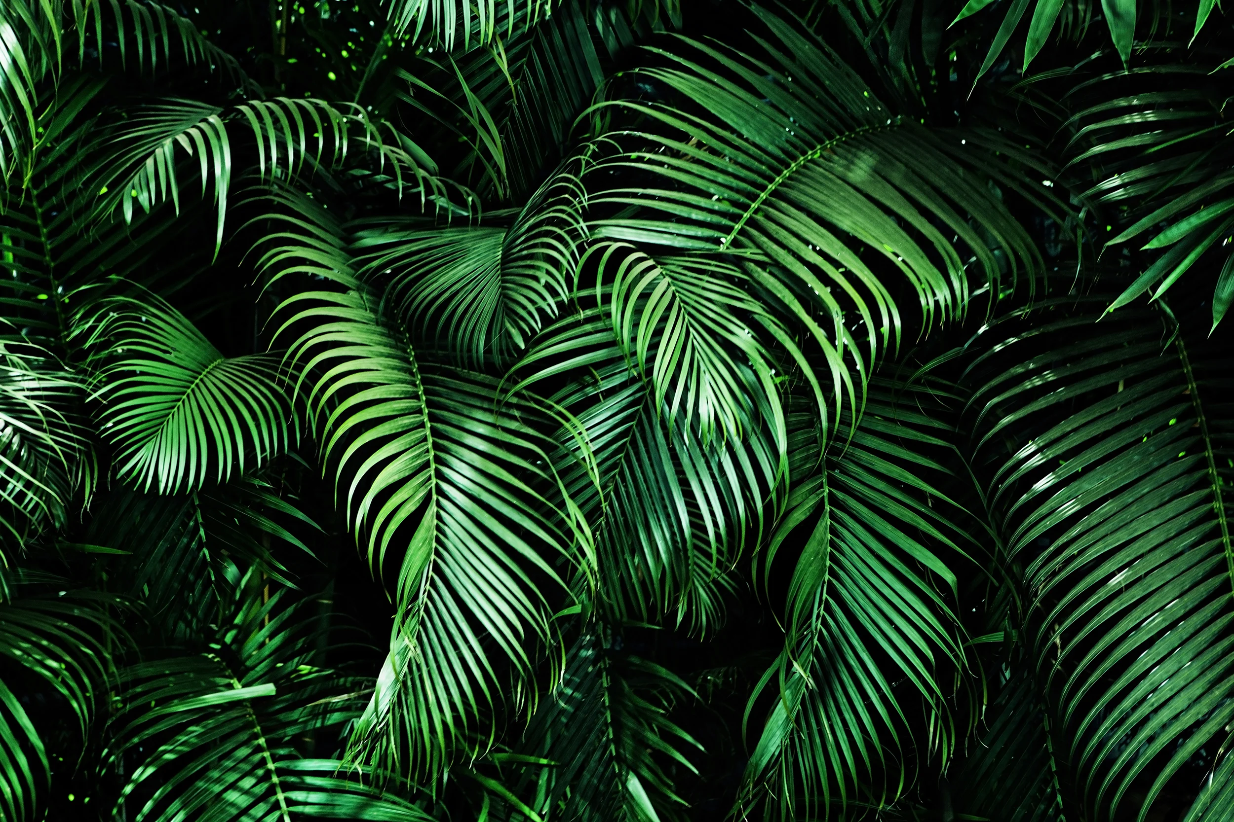 shutterstock_729383275.jpg