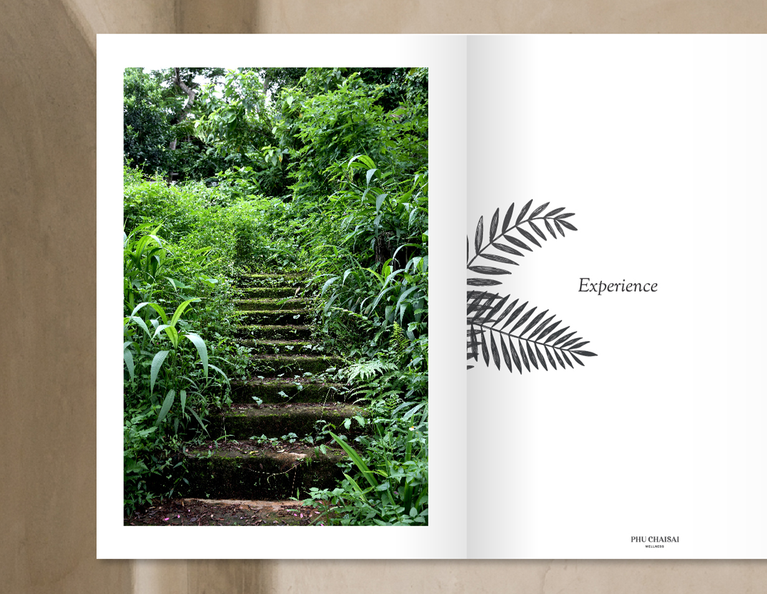YSR-ig_Booklet-06-2.jpg