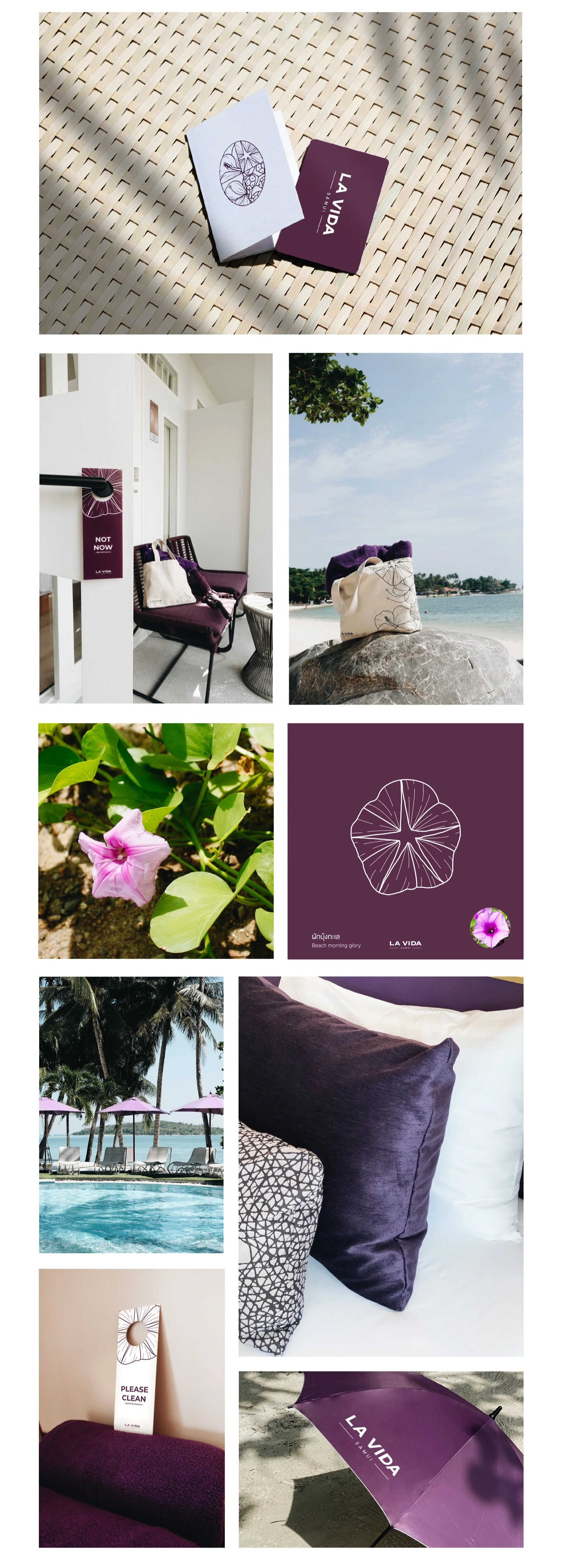 LAVIDA-ysr_Web-2.jpg