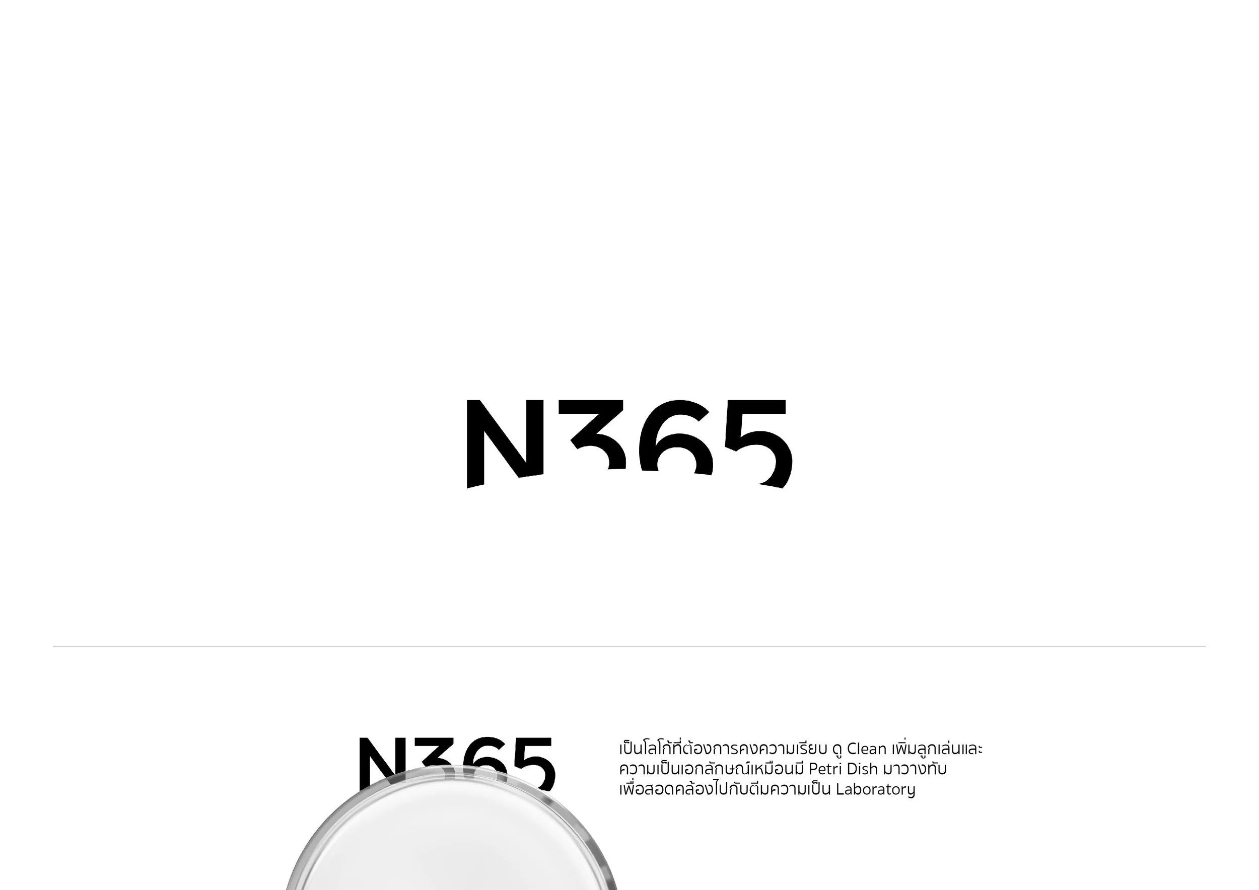 N365_forweb-03.jpg