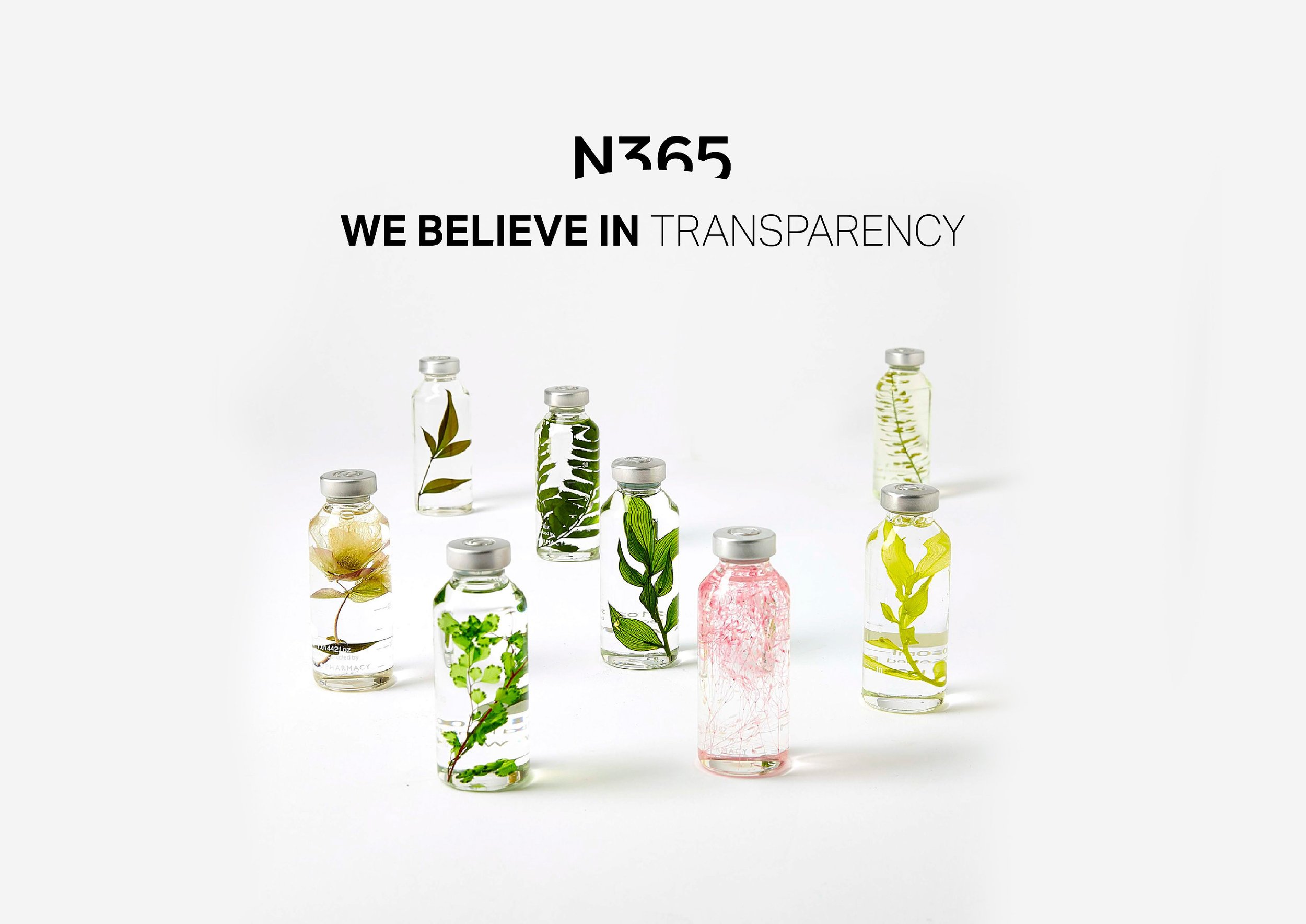 N365_forweb-04.jpg