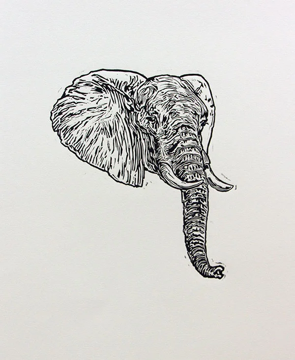 elephant-crop.jpg