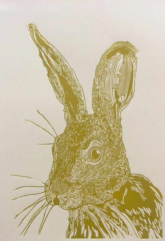 hare-crop.jpg