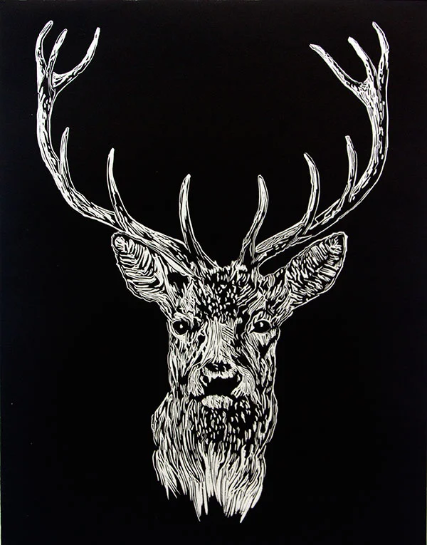 portrait-stag-crop.jpg