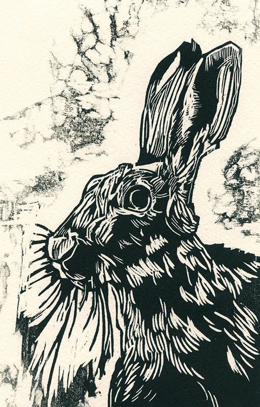 img039ppp.jpg