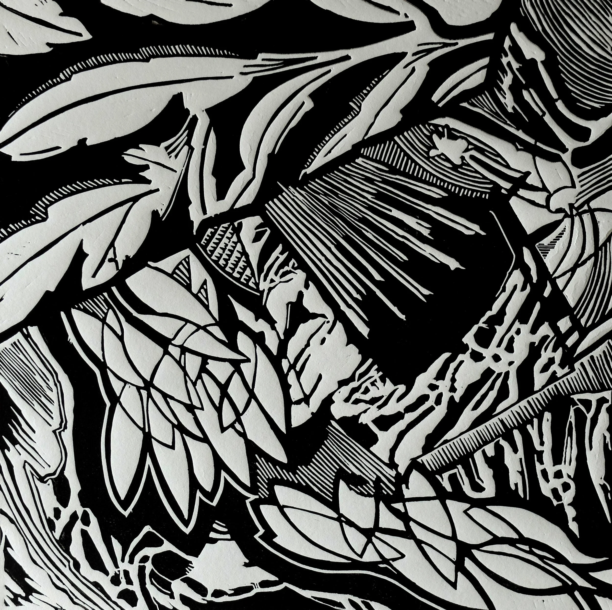 plant1.jpg