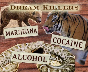 DREAMkillers.jpg