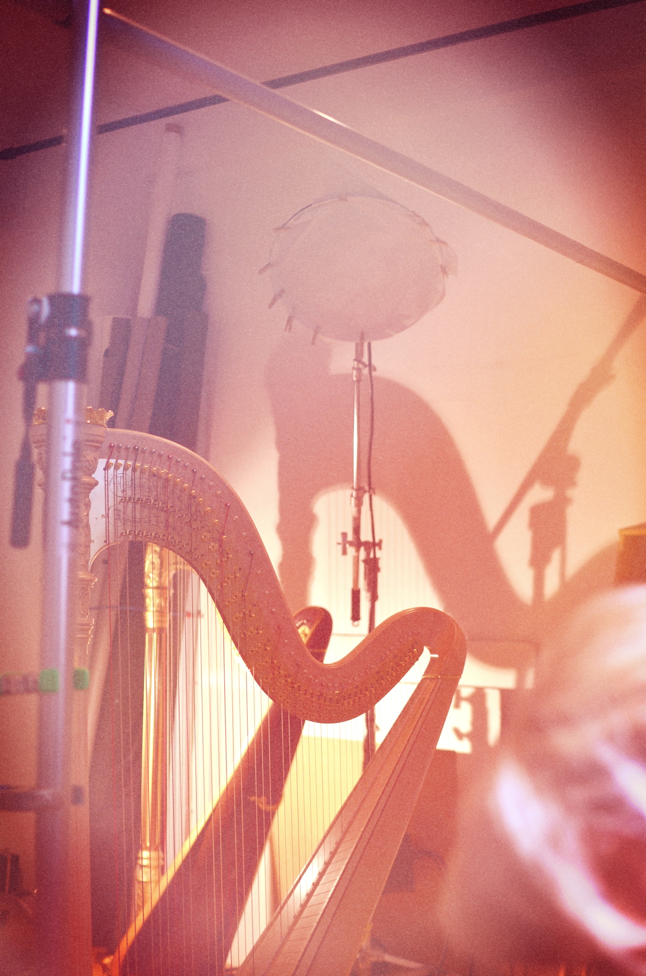 Photoshoot - Harps Vertical.jpg