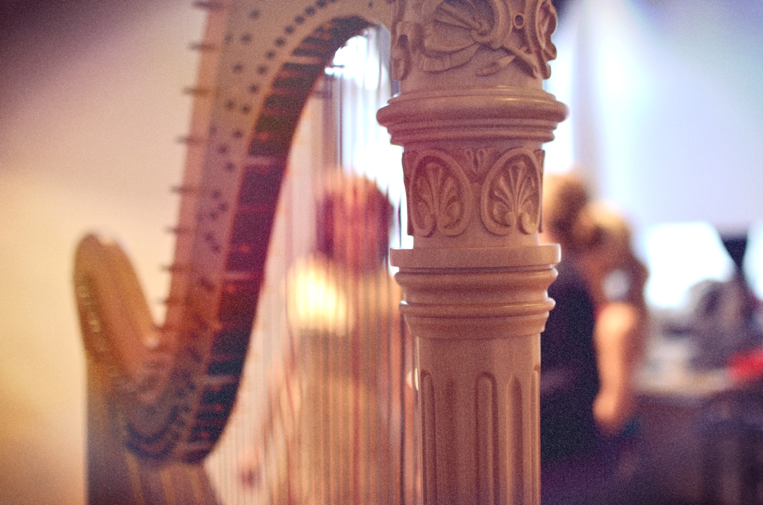 Photoshoot - Katie through harp.jpg