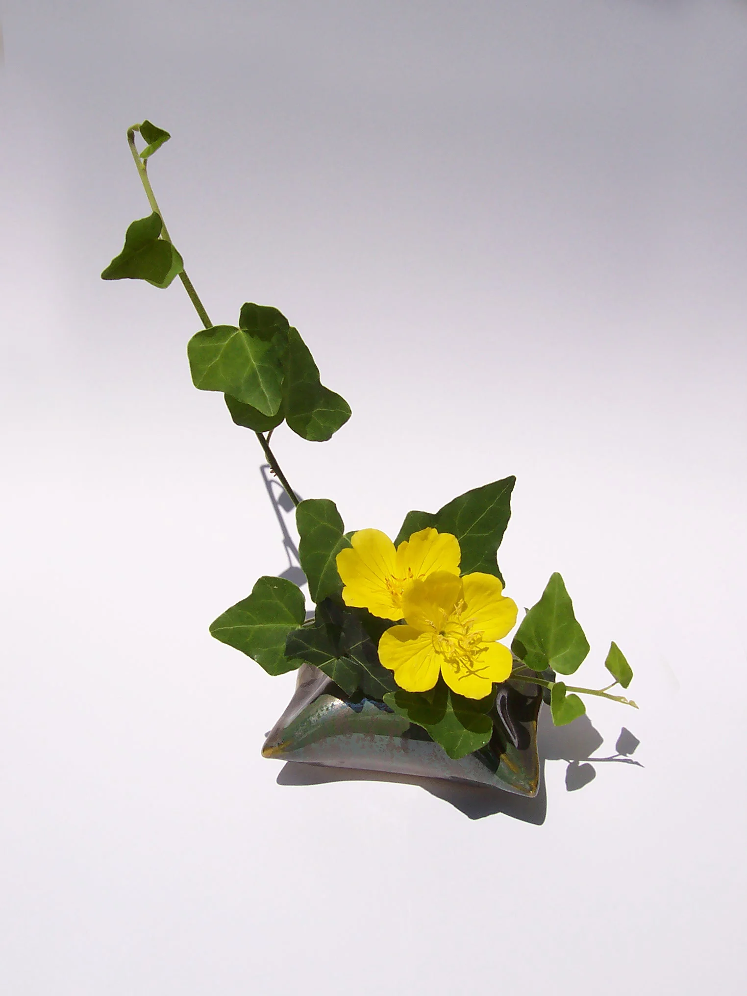 flower pillow