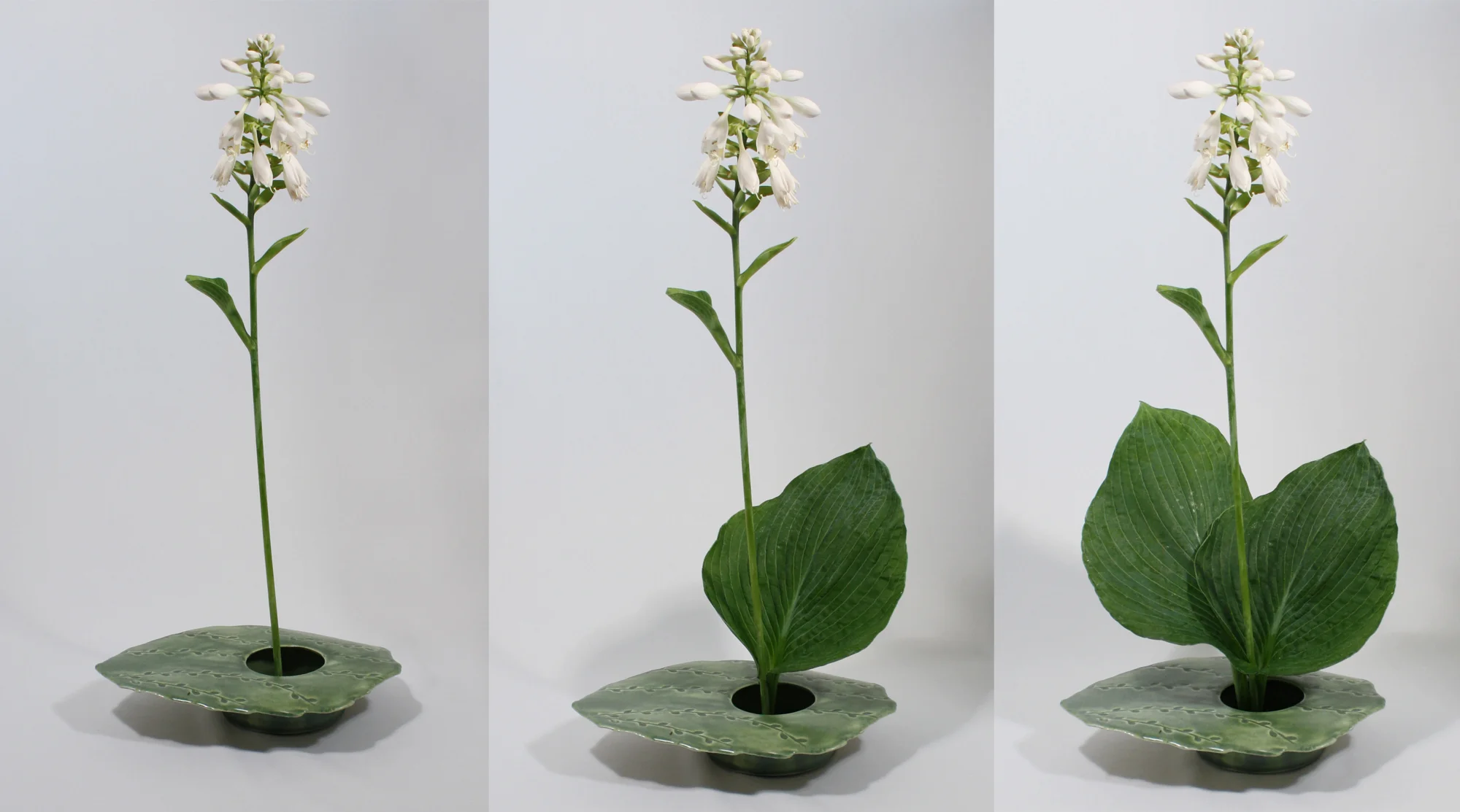 How to: Simple ikebana arrangement