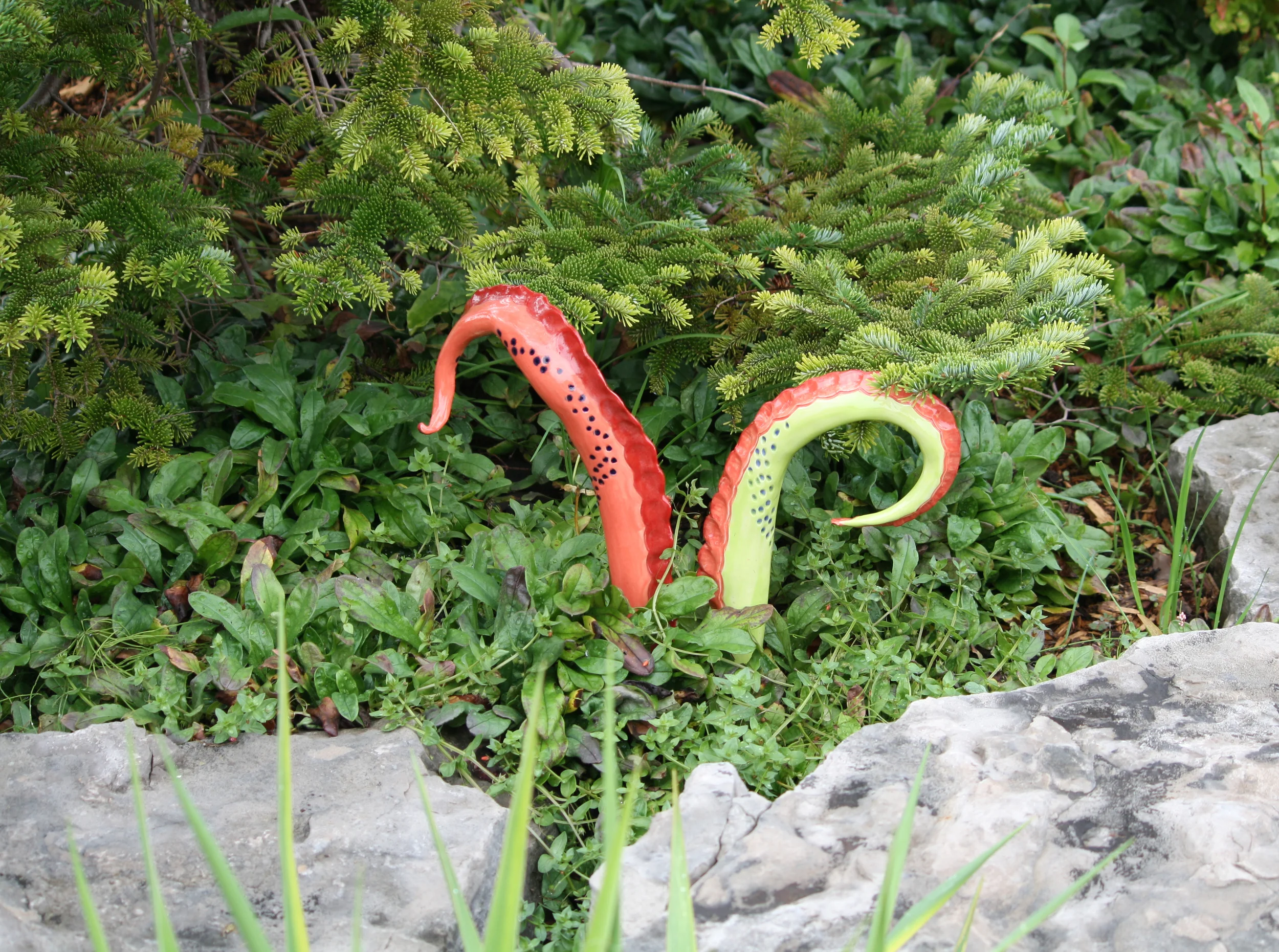 Dragon Tails