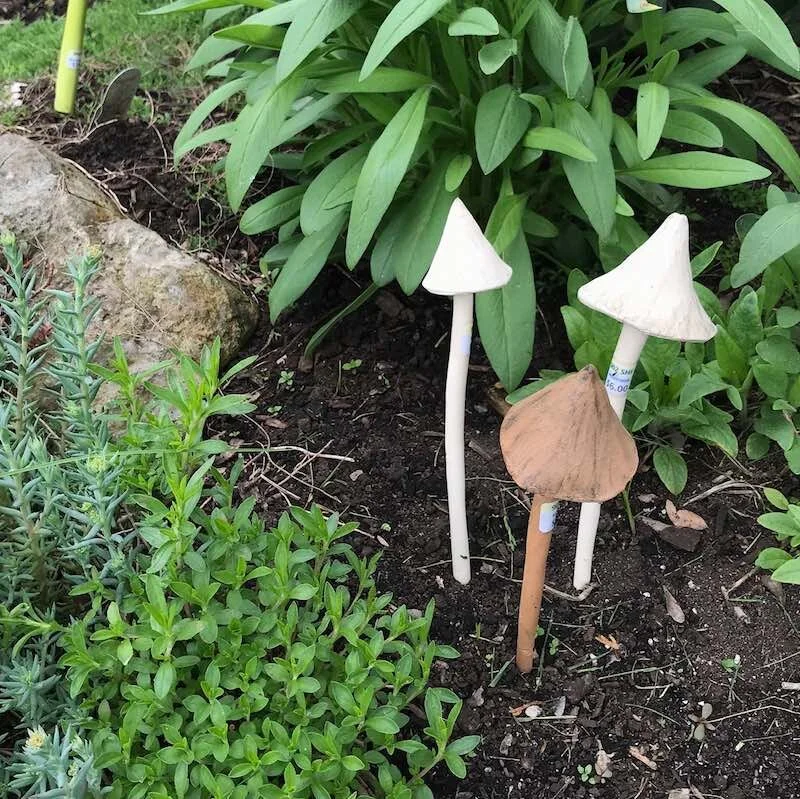 B9E22318-096C-4ABE-9F12-D1B351416951