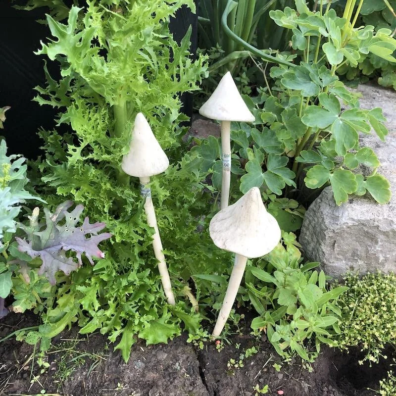 A544C92E-7272-4723-97A8-31478F2DE475